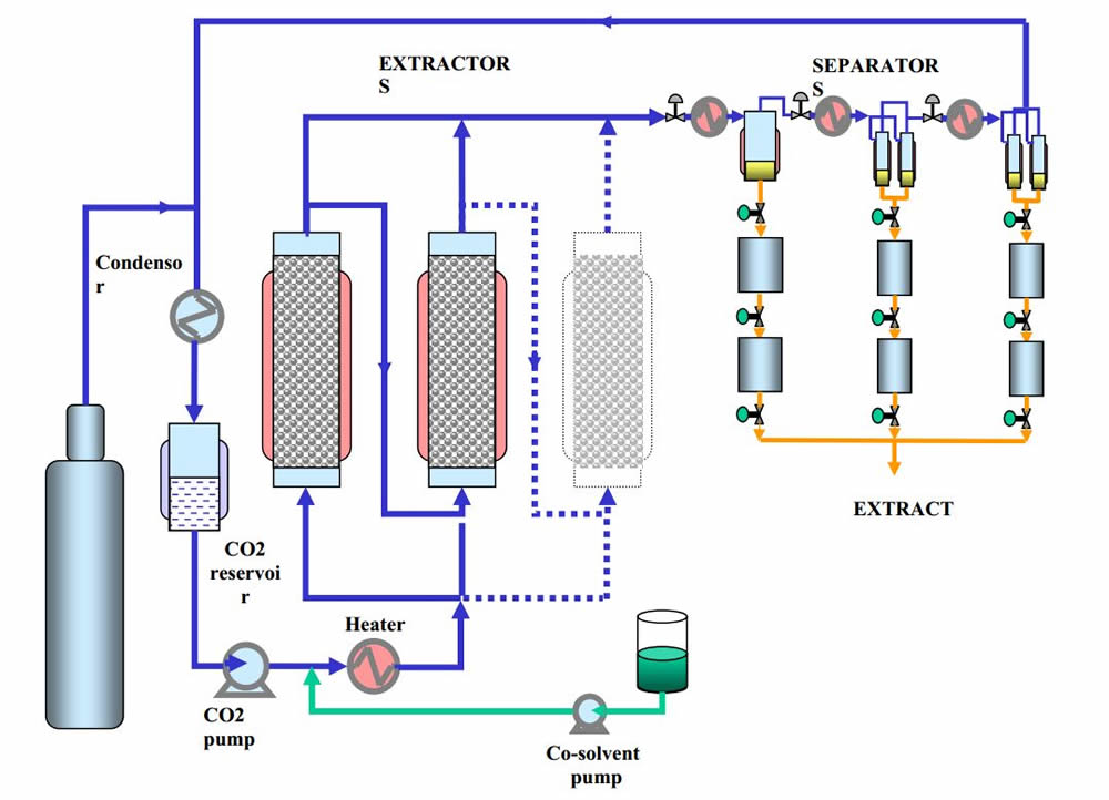 SFE general diagram